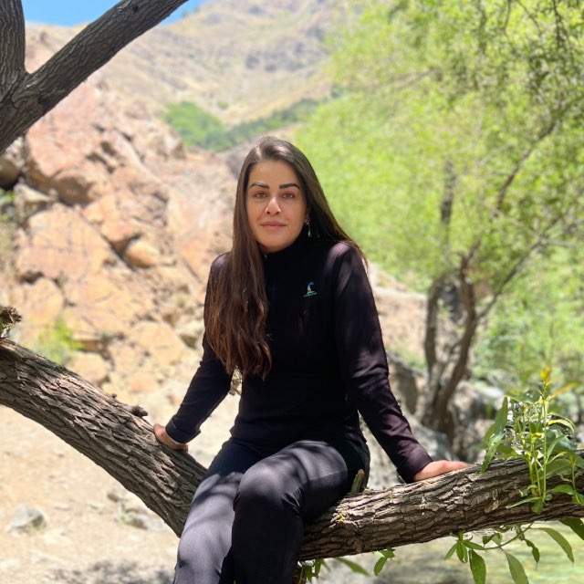 نیکو profile