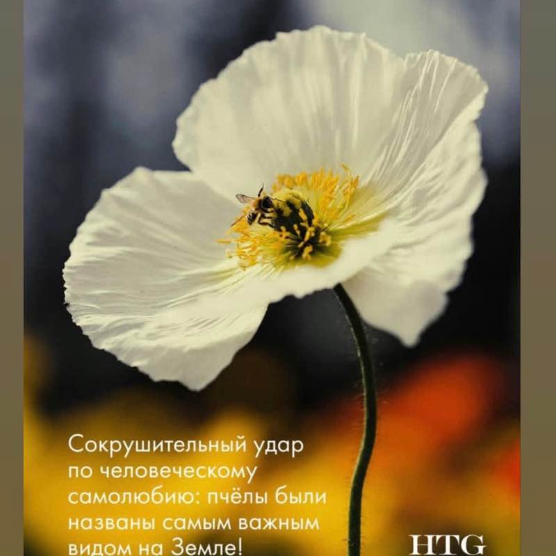 Вперед , идущие! 🏃‍♀️🏃🏼‍♂️ Мария🌼🌼🌼 post image