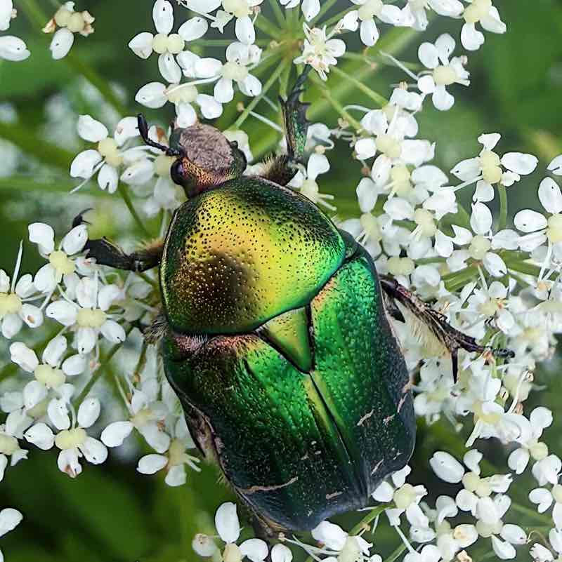 Тело мечты Мария🌼🌼🌼 post image