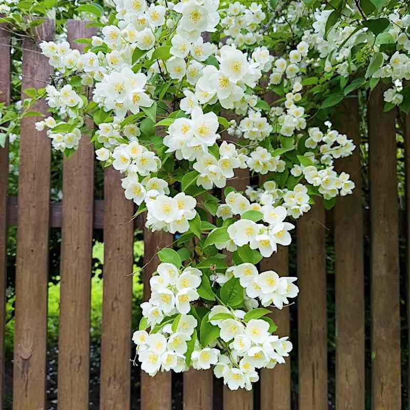 Тело мечты Мария🌼🌼🌼 post image