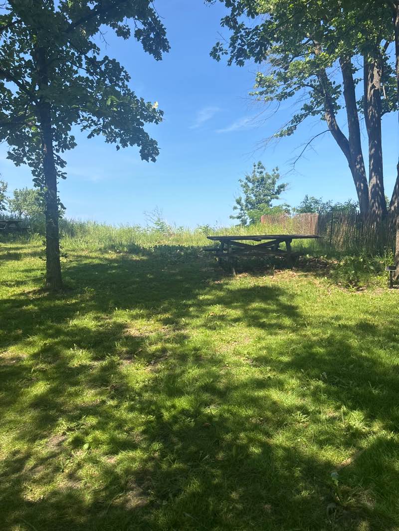 walking near me in Millard Park in summer