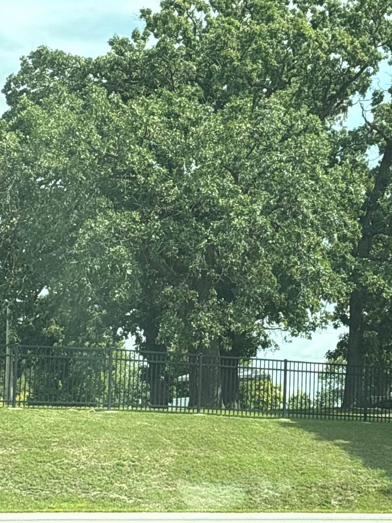 walking near me in Paulus Park in autumn