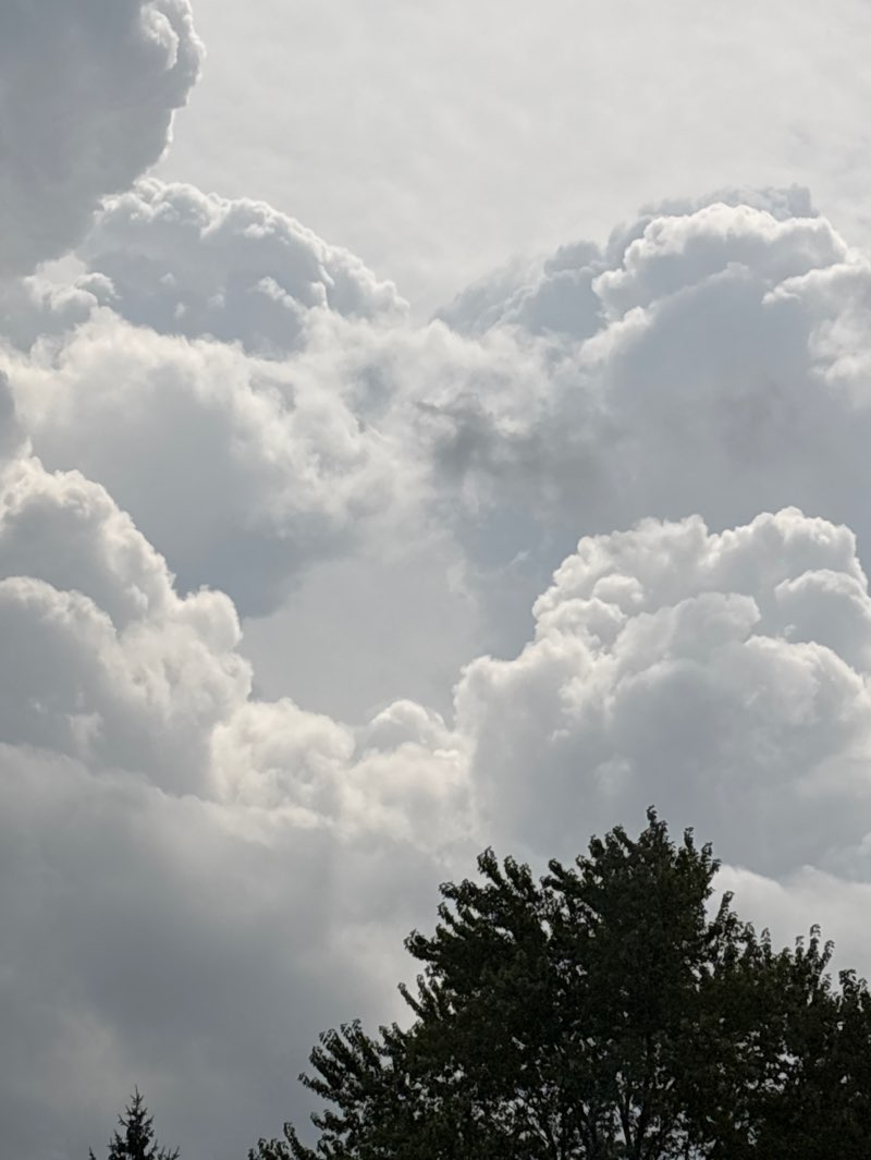 walking near me in Cottonwood Park in autumn