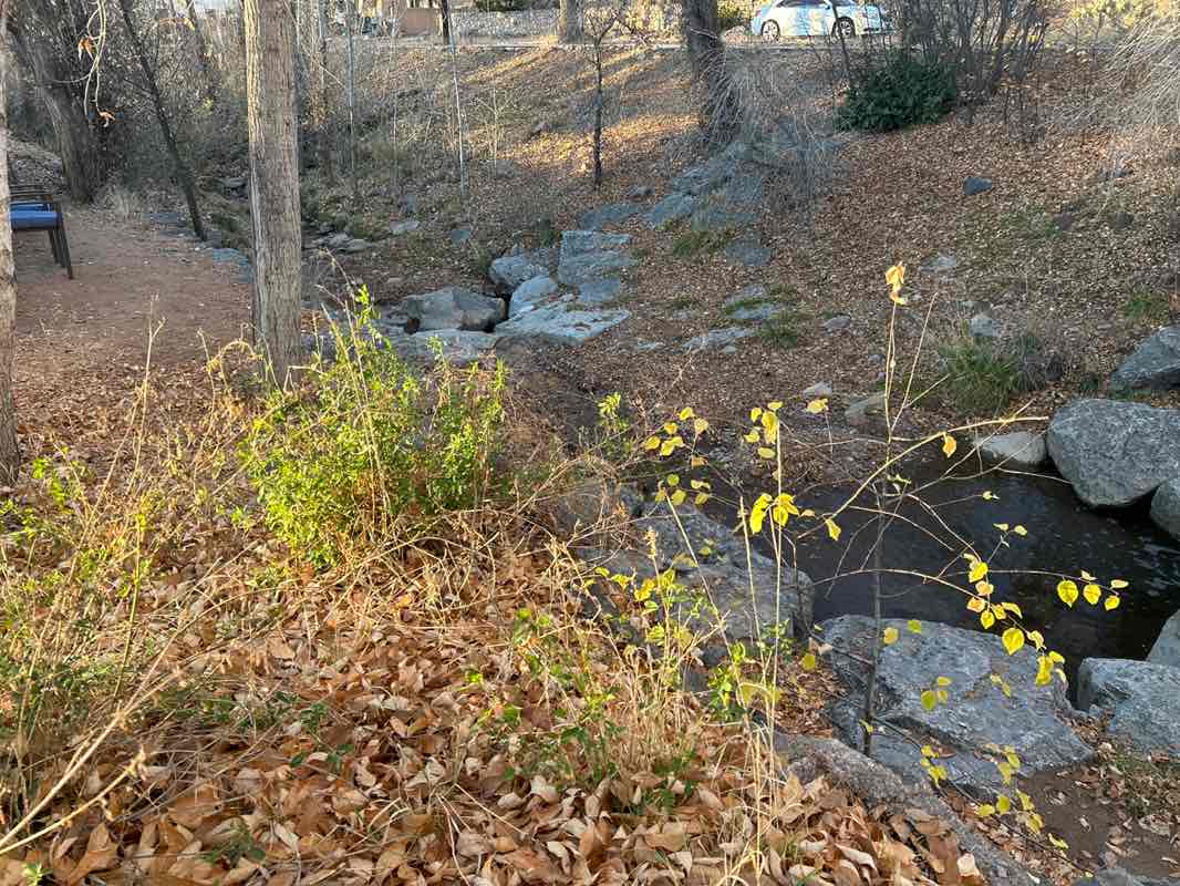 walking near me in Santa Fe River State Park in autumn