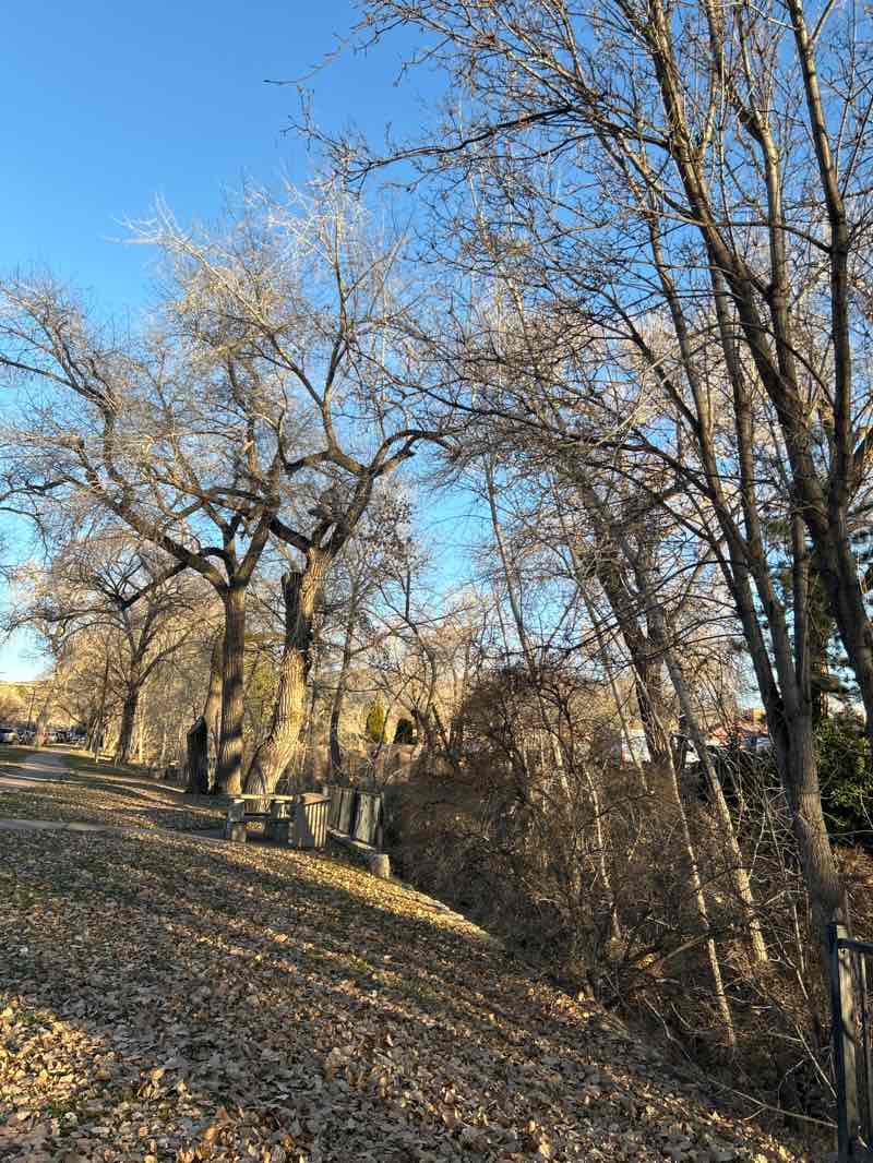 walking near me in Santa Fe River State Park in winter