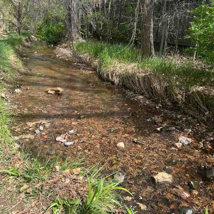 🇩🇪Taj🇵🇸 post 2