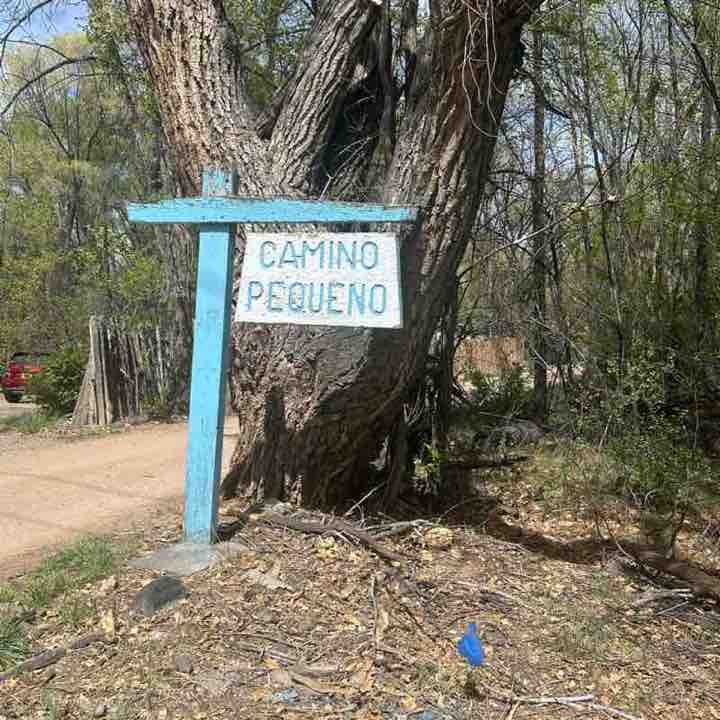 🇩🇪Taj🇵🇸 post 3