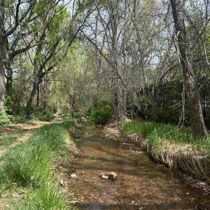 🇩🇪Taj🇵🇸 post 1