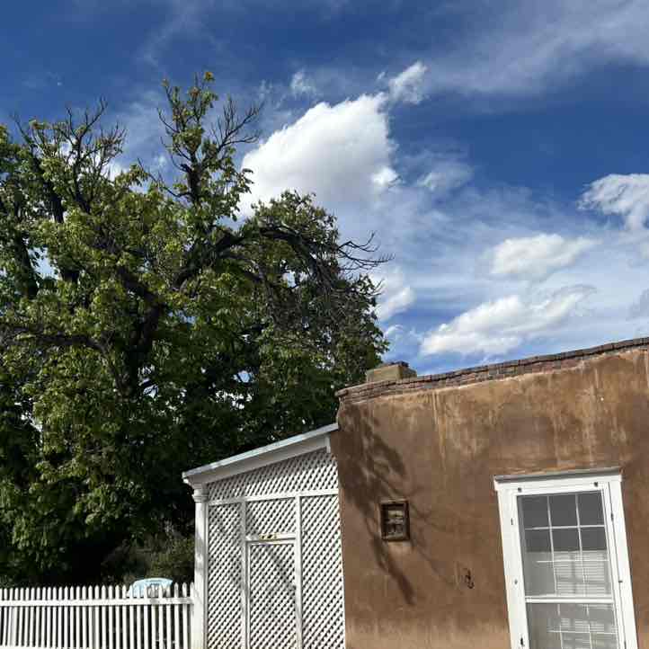 🇩🇪Taj🇵🇸 post 2