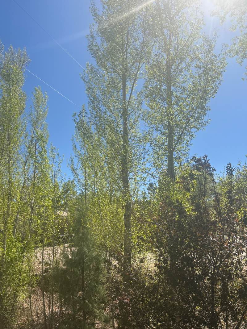 walking near me in Santa Fe River State Park in spring