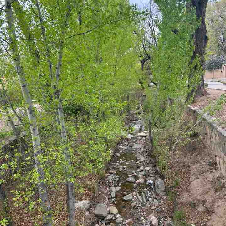 🇩🇪Taj🇵🇸 post 1