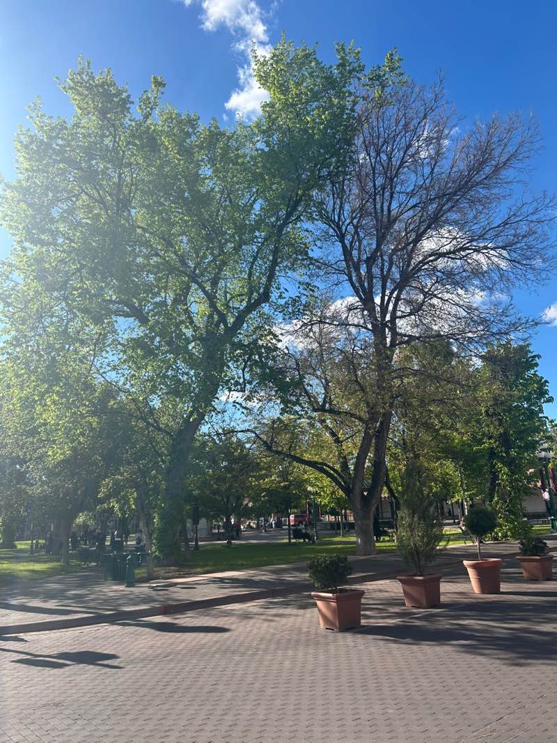 walking near me in The Santa Fe Plaza in spring