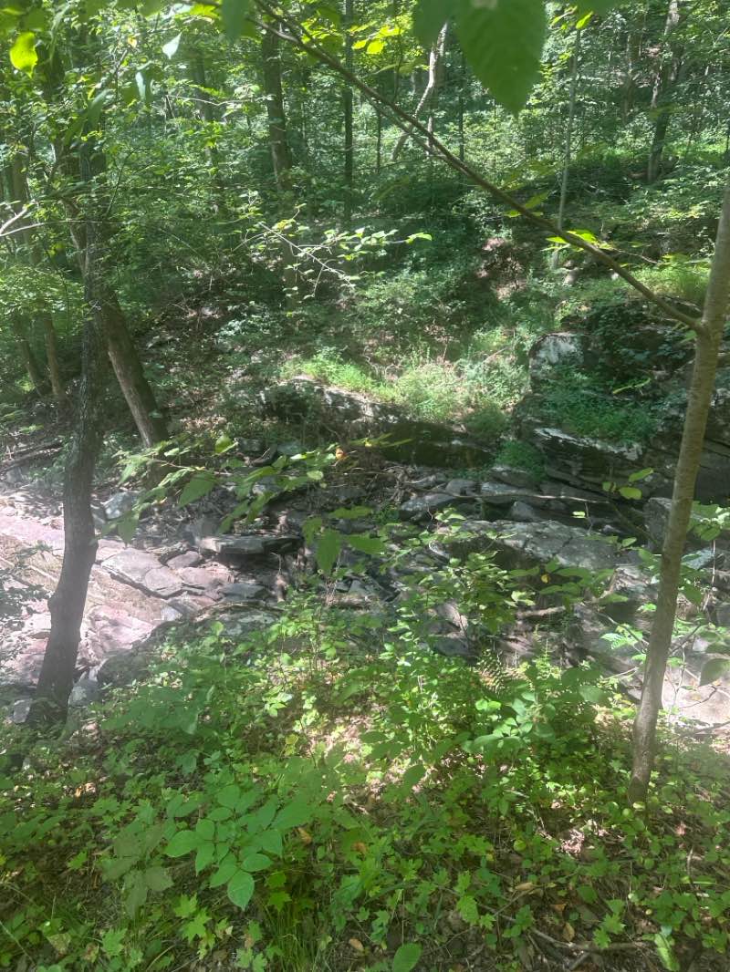 walking near me in Ralph Stover State Park in autumn