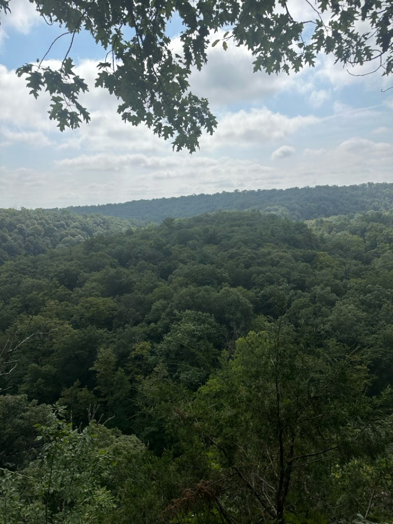 walking near me in Tohickon Valley Park in autumn