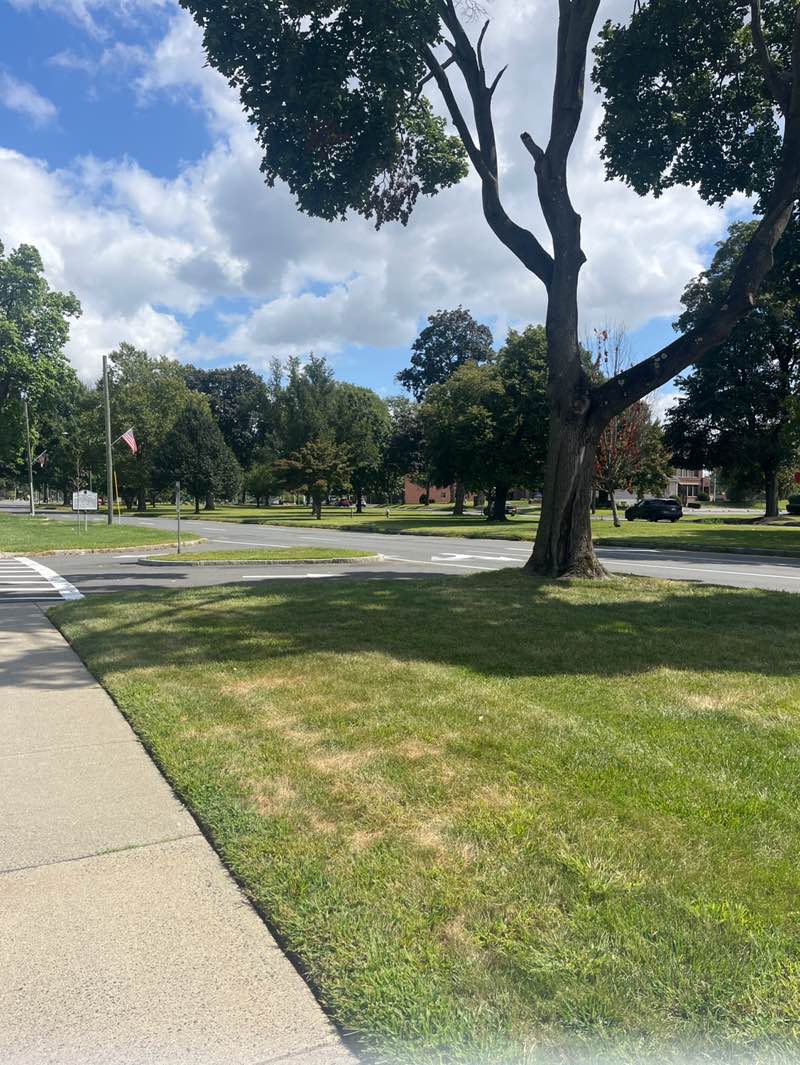walking near me in Town Common in autumn