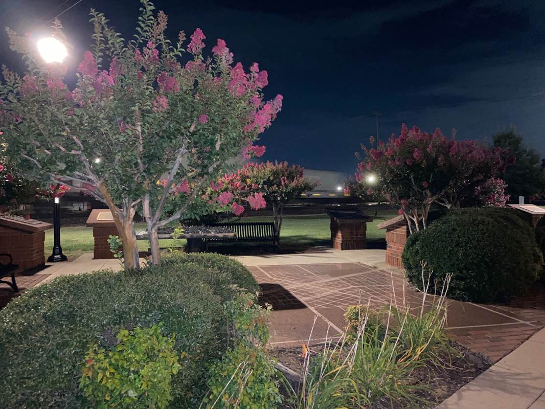 walking near me in Legacy Trail Park in autumn