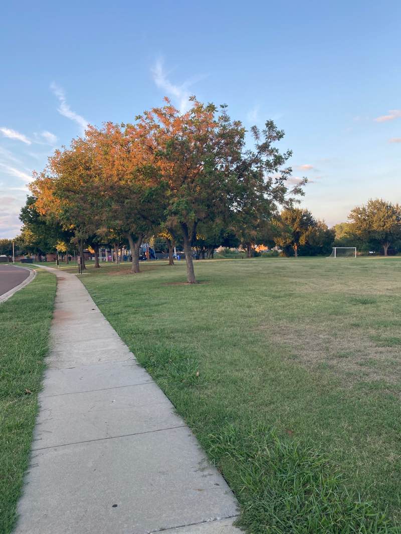 walking near me in Prairie Creek Park in autumn