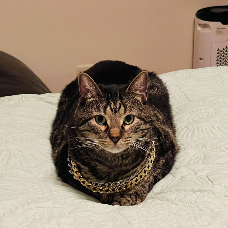 Adey🇧🇯🇺🇸🌍🕌