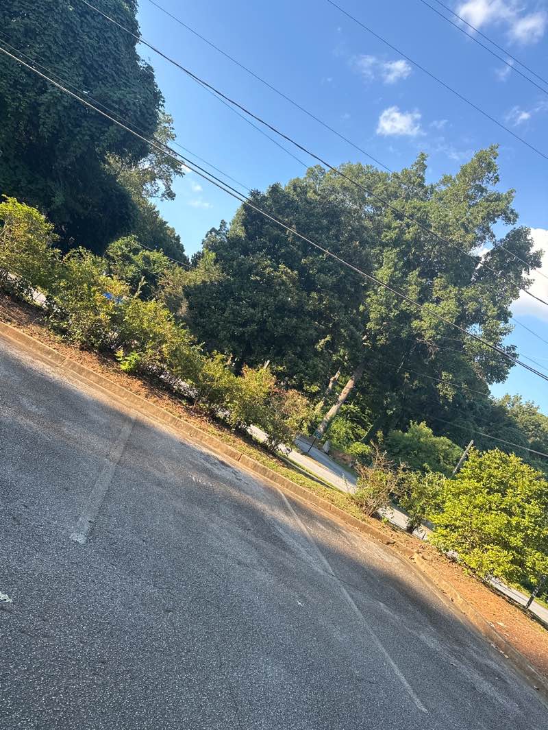 walking near me in Kelley Cofer Park in autumn