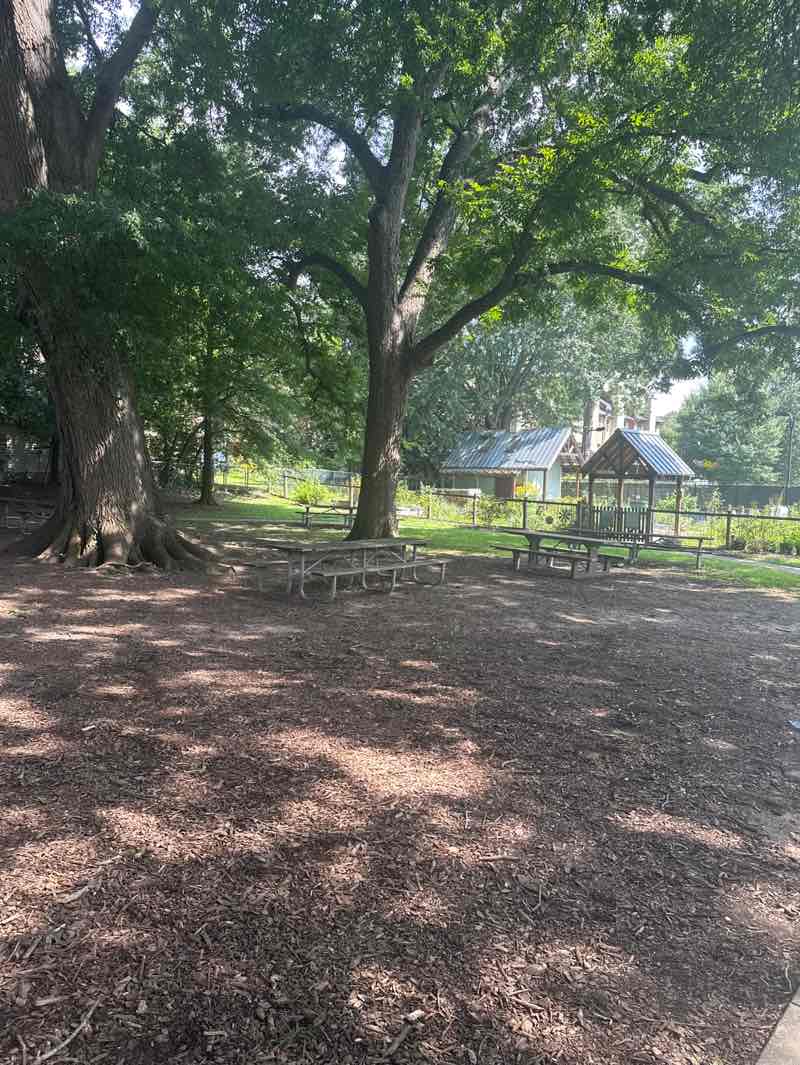 walking near me in Scott Park in autumn