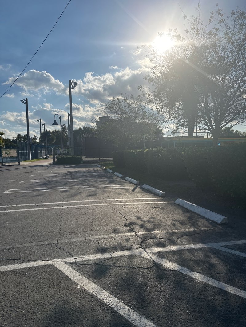 walking near me in Hagen Park in winter