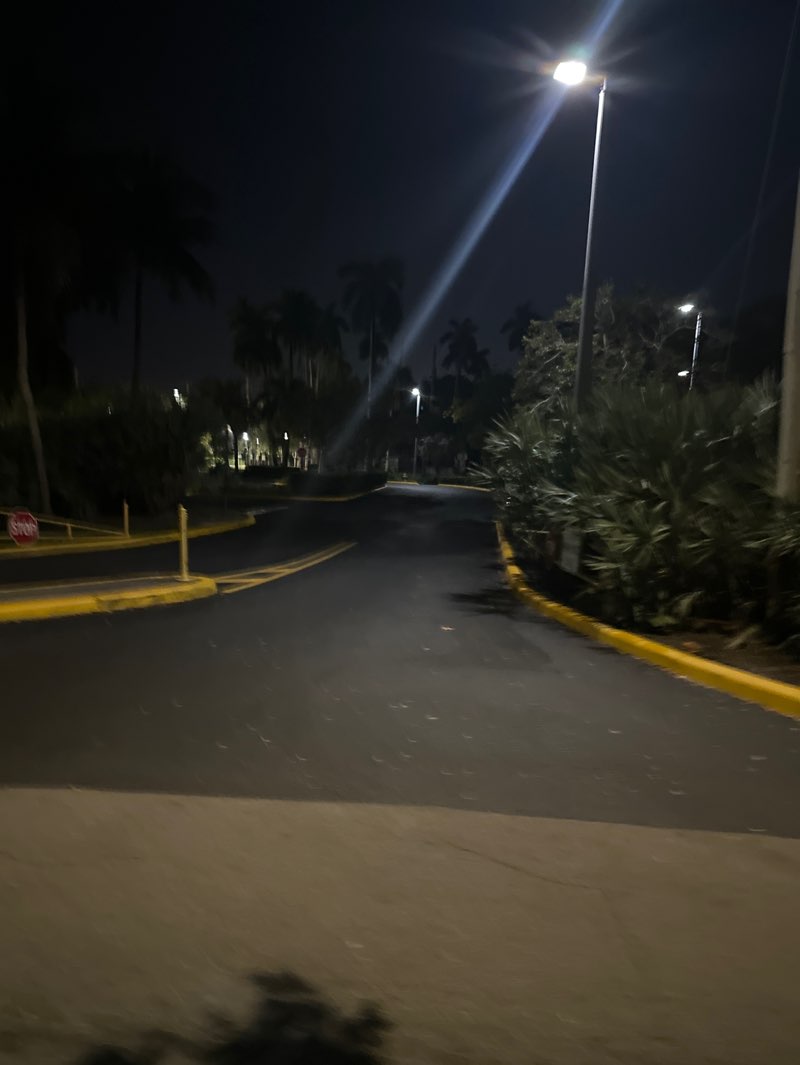 walking near me in Richardson Historic Park and Preserve in winter