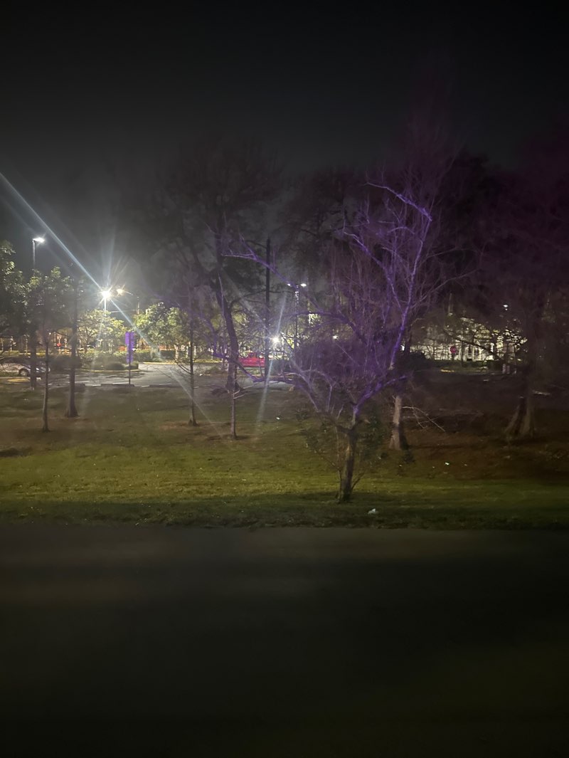 walking near me in Richardson Historic Park and Preserve in winter