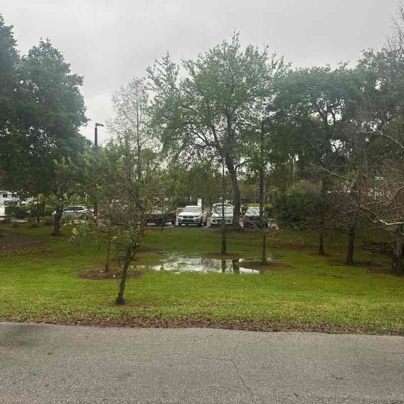 Dallen Michael Greene post 1