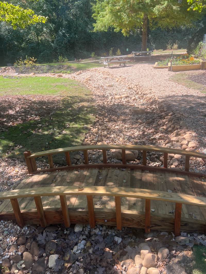 walking near me in Hickory Dickory Park in autumn