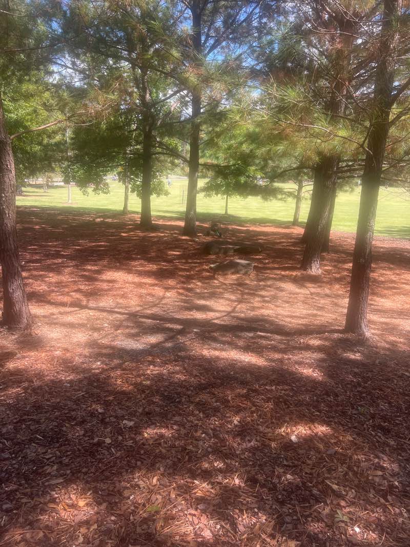 walking near me in Altadena Park in autumn