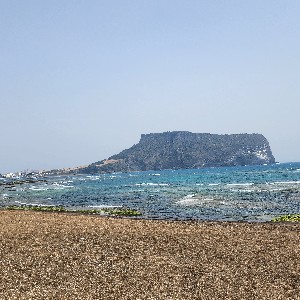 장지준(LNG&BULK선팀) profile