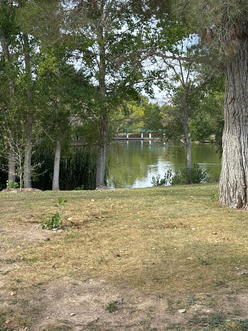 walking near me in Floyd Lamb Park in autumn