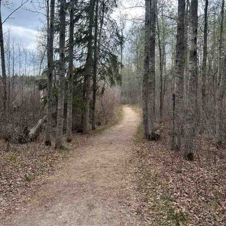 Ross Braithwaite post 2