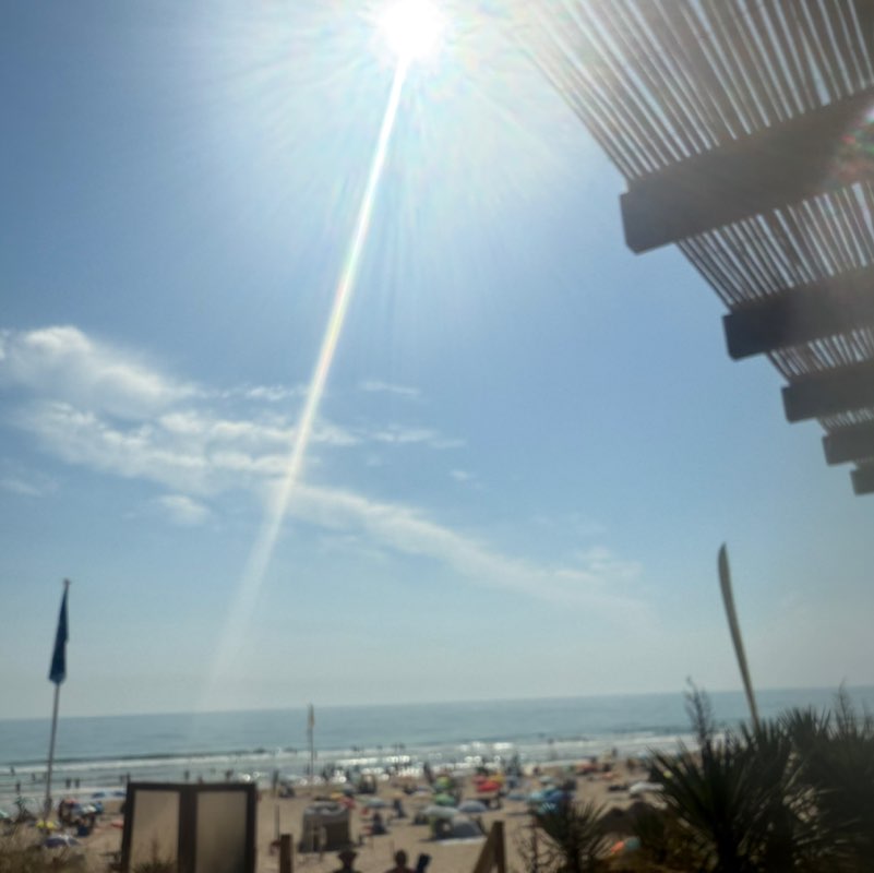 Merck CaSE North Sara post image