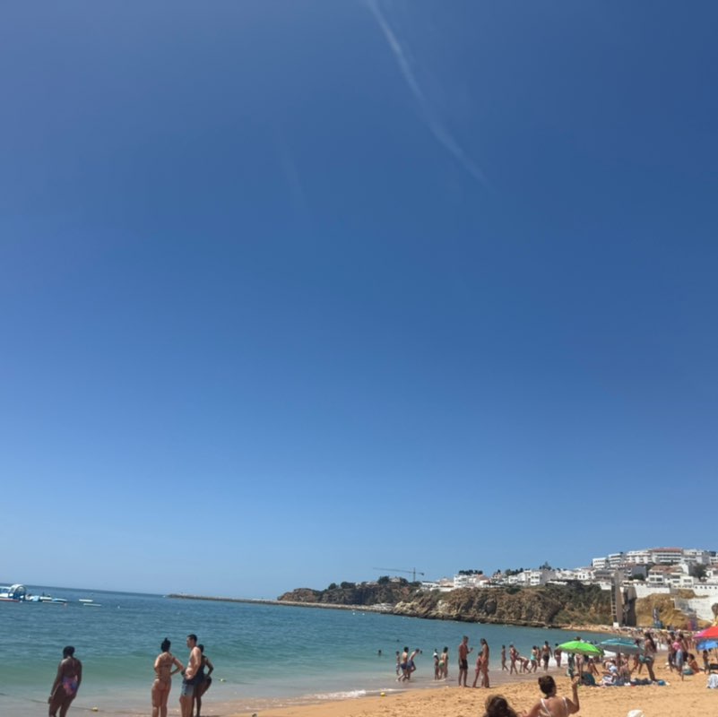 Merck CaSE North Sara post image