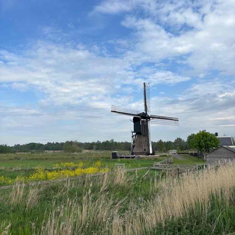 Amsterdam walking & running club Layla Goodridge post image