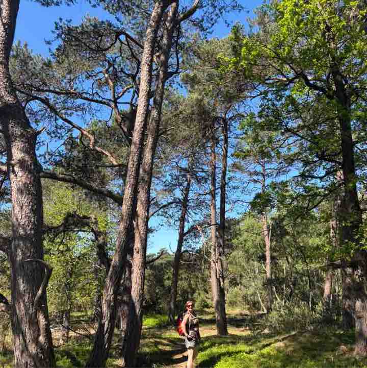 Amsterdam walking & running club Layla Goodridge post image
