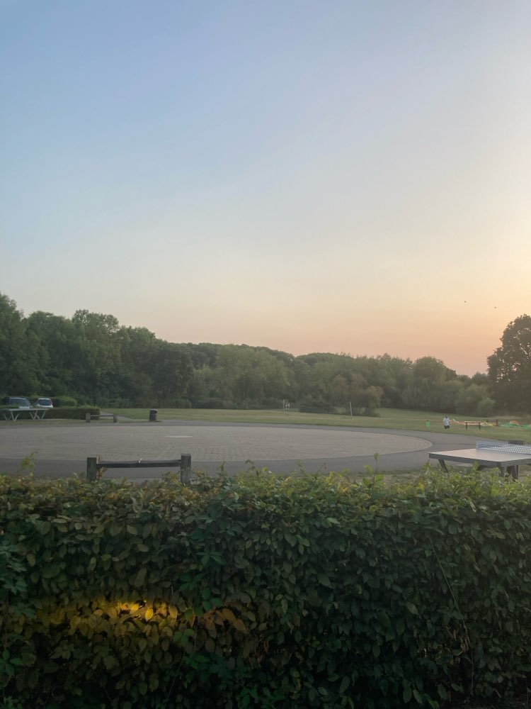 walking near me in Morton Stanley Park in autumn