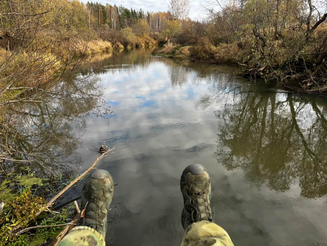 Денис Калачев profile