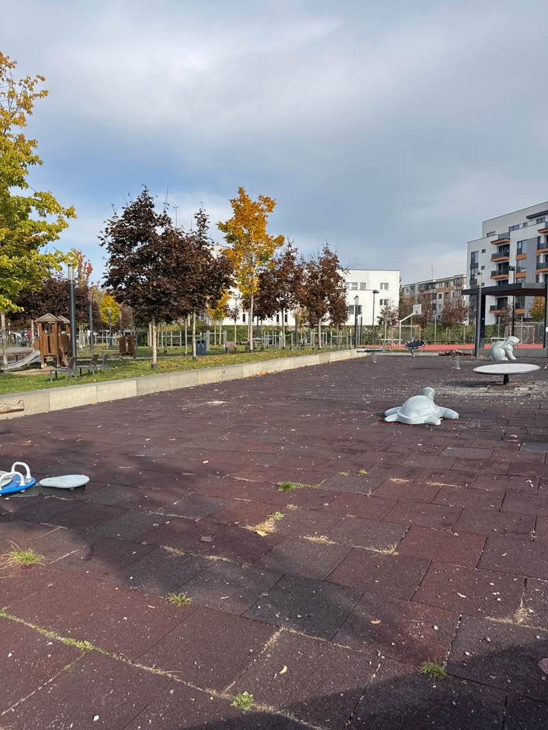 walking near me in Parcul Între Lacuri in autumn