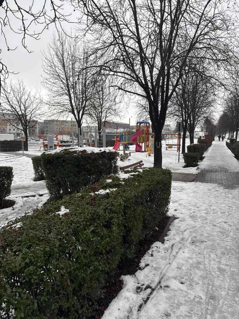 walking near me in Parcul Aurel Vlaicu in winter