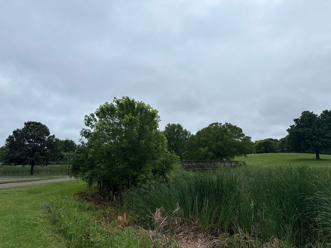 walking near me in Hidden Valley Park in summer