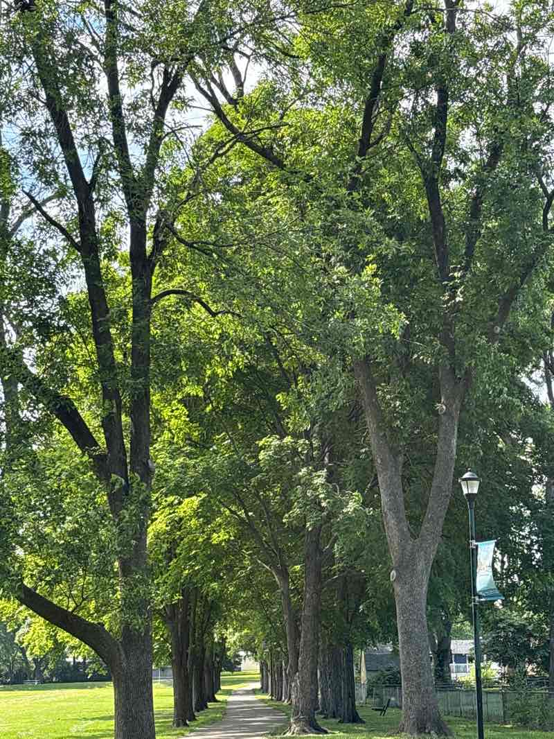 walking near me in Howdershell Park in spring