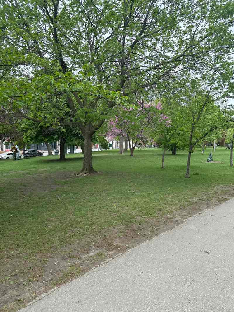 walking near me in Trinity Bellwoods Park in spring