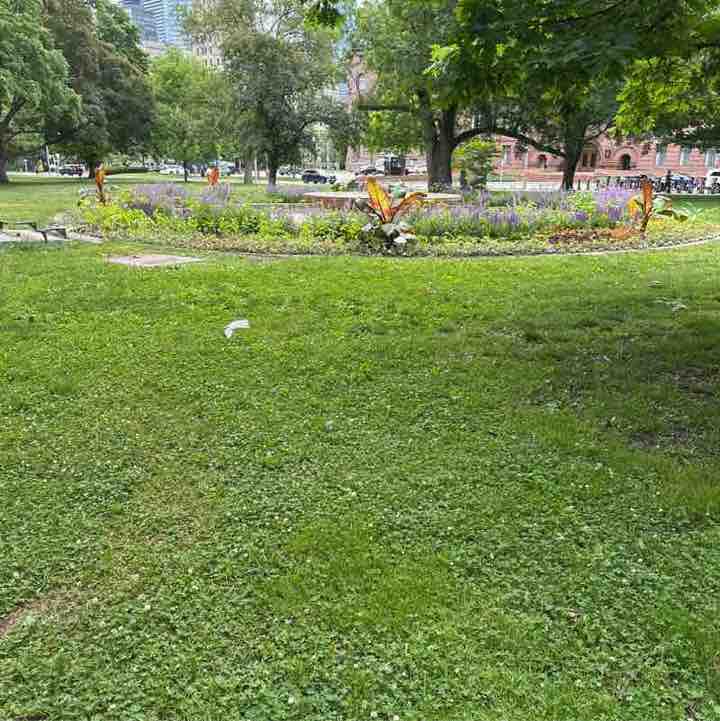 Husky Pancake post 1