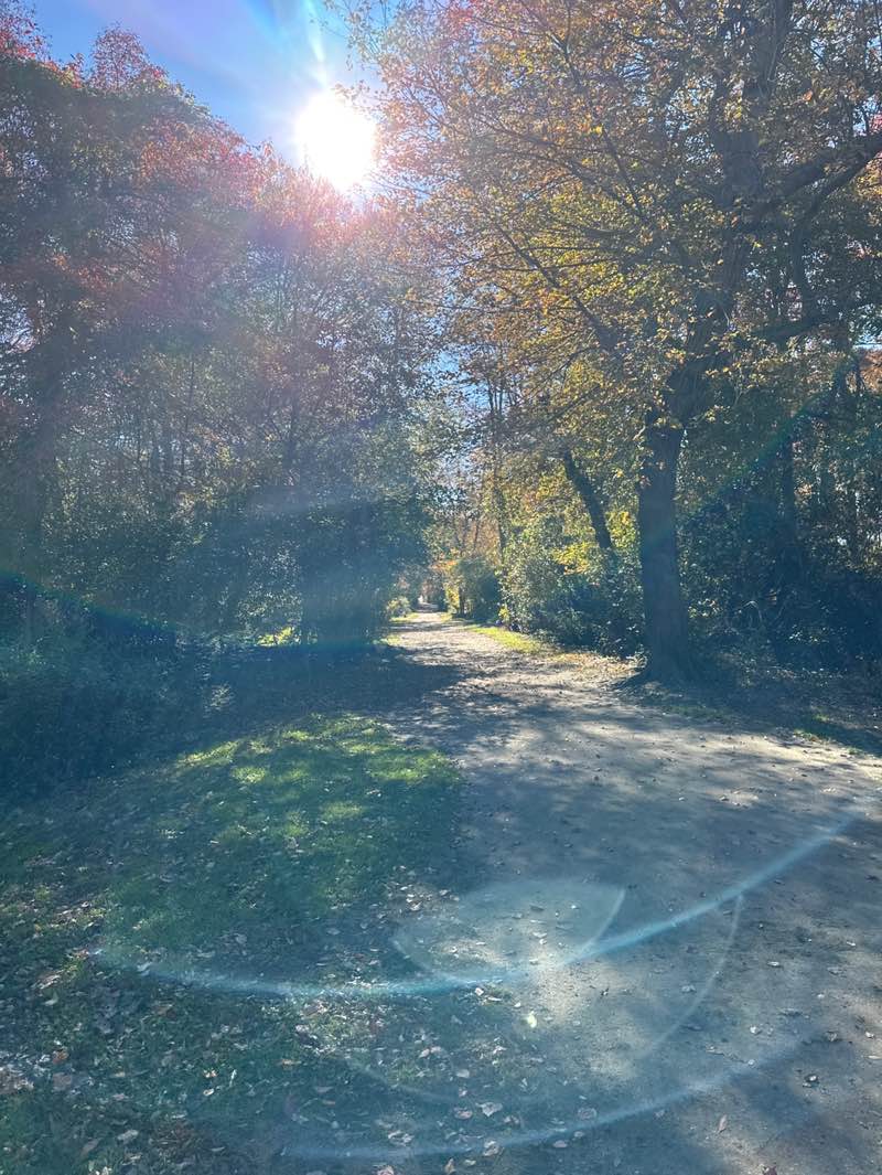 walking near me in Gardiner County Park in autumn