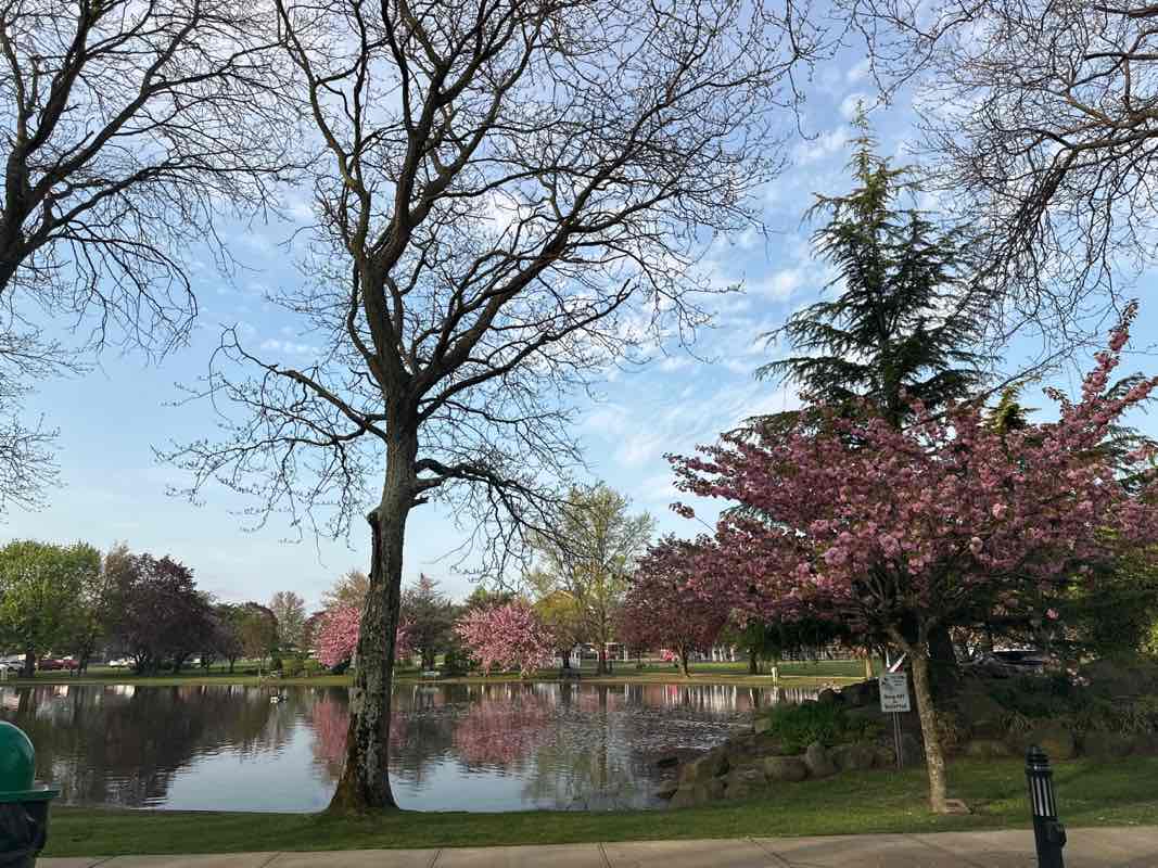 walking near me in Babylon Town Hall Park in spring