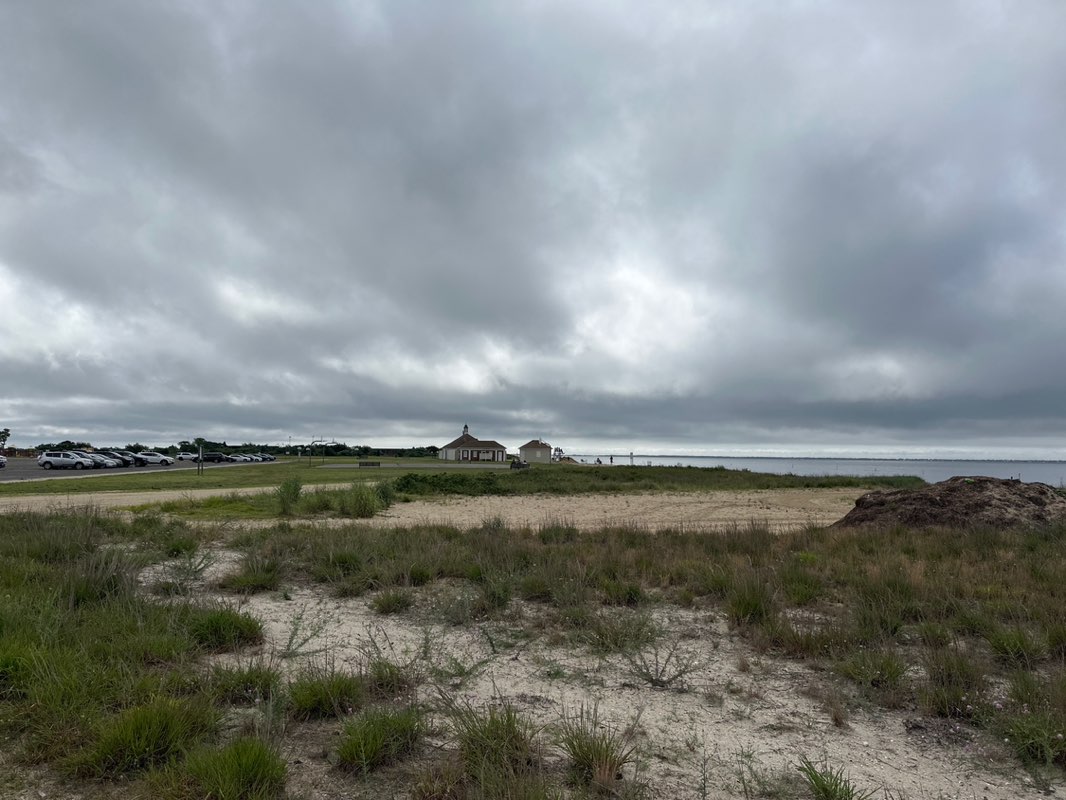 walking near me in Heckscher State Park in summer