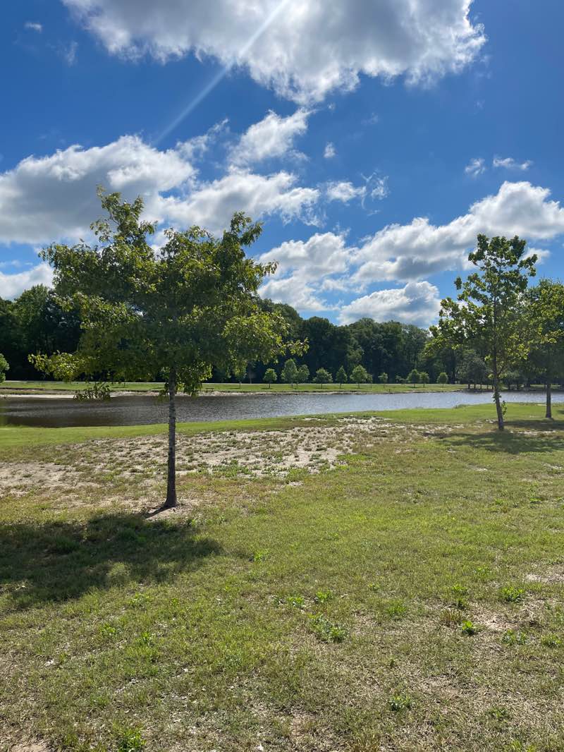 walking near me in Veterans Park in spring