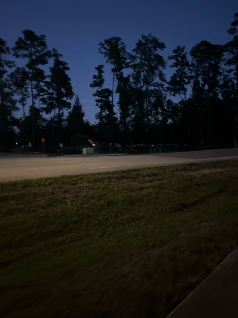 walking near me in Trillium Park in autumn